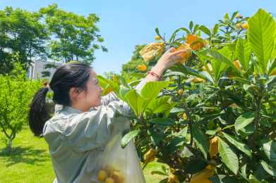 2025.05.15 뉴토끼 loquat photo.png