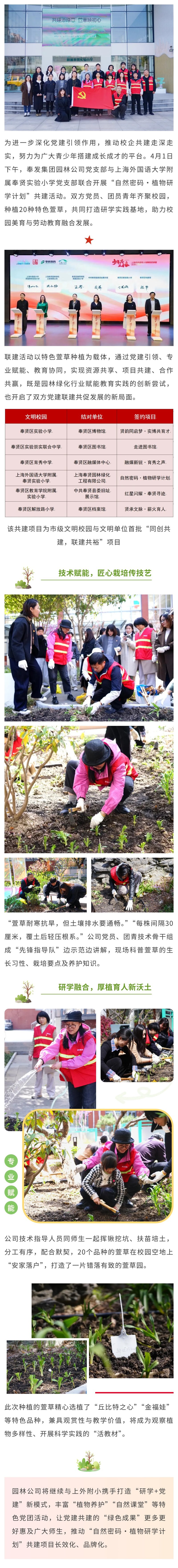 党建引领聚合力 携手共建添新绿
